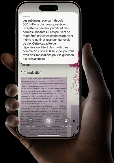 Une main tient un iPhone 16 Pro qui affiche les résultats d’une recherche effectuée avec l’intelligence visuelle.