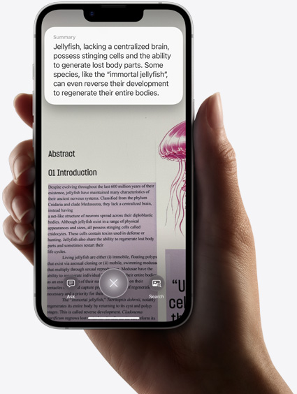 Tangan yang sedang memegang iPhone 16e menampilkan hasil pencarian menggunakan kecerdasan visual.