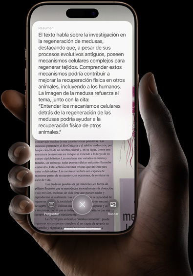 Inteligencia Visual