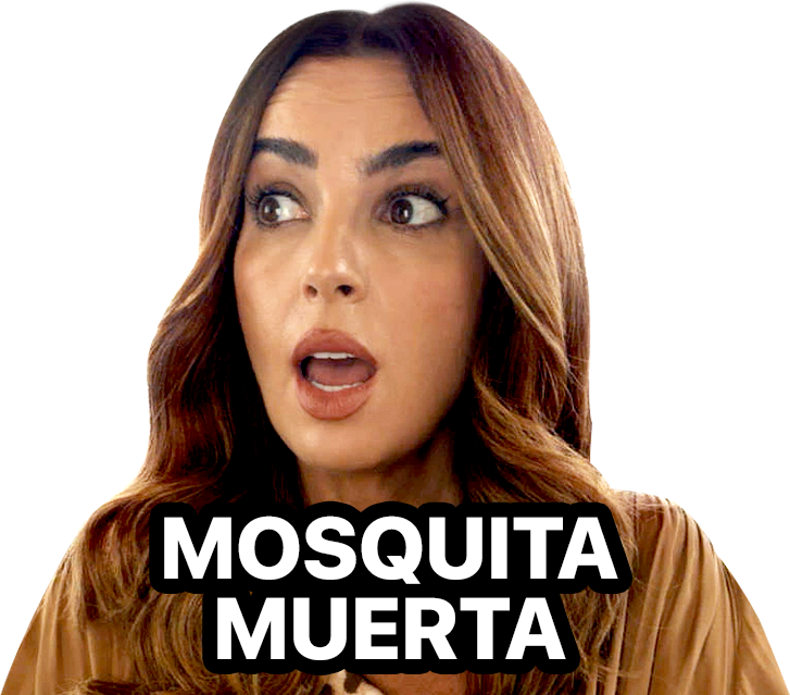 Mosquita muerta