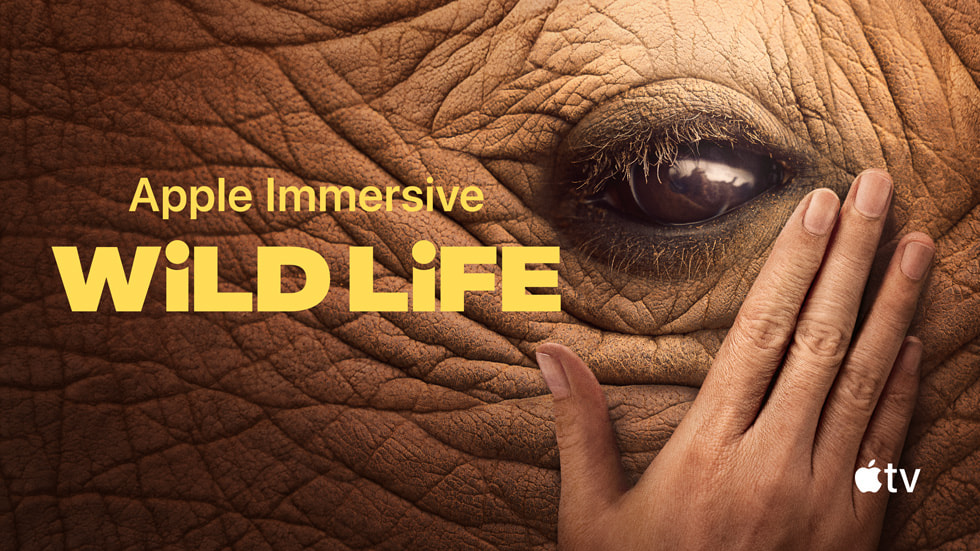 Arte gráfico de Wild Life, de Apple Immersive Video.