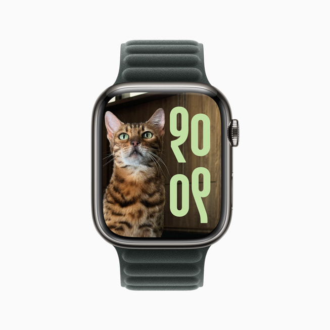 Apple Watch Series 9’daki Fotoğraflar saat kadranı, çizgili bir kediyi gösteriyor.