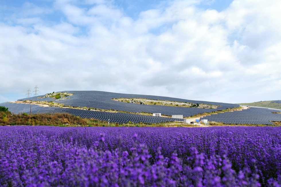 Una vista dell’impianto elettrico finanziato da Apple in Grecia in mezzo a un campo di fiori viola.