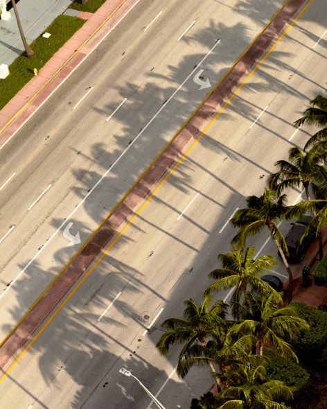 Delle palme proiettano la loro ombra argentata su una strada vuota di Miami in un’immagine scattata con iPhone 16 Pro dal balcone dell’hotel della fotografa.