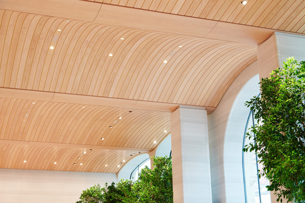 Het gewelfde houten plafond van Apple Brompton Road in Londen staat afgebeeld.