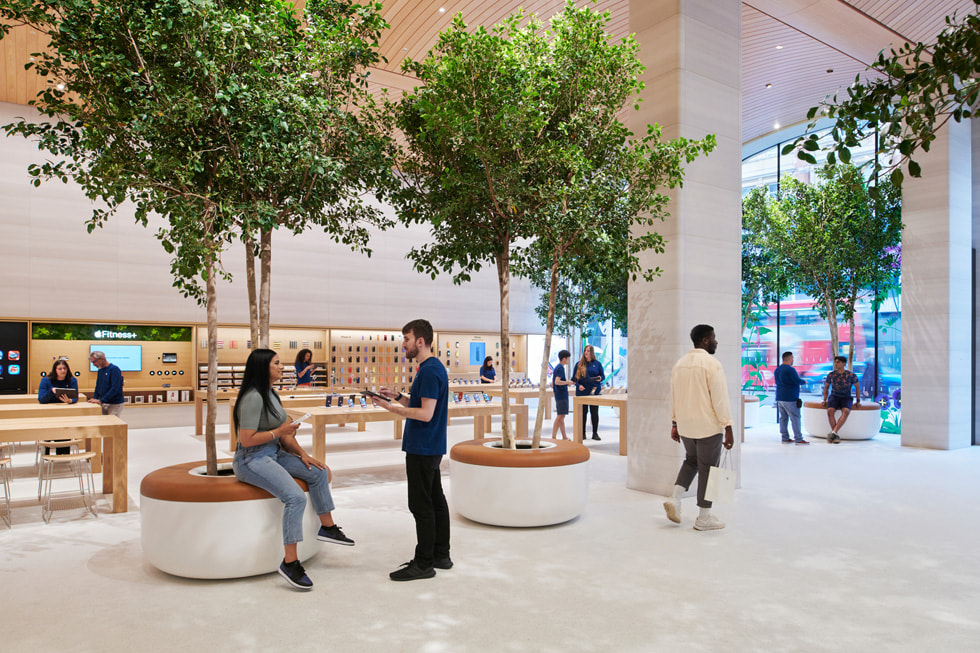 Mensen zitten te praten bij de plantenbakken met Siciliaanse ficusbomen in Apple Brompton Road in Londen.