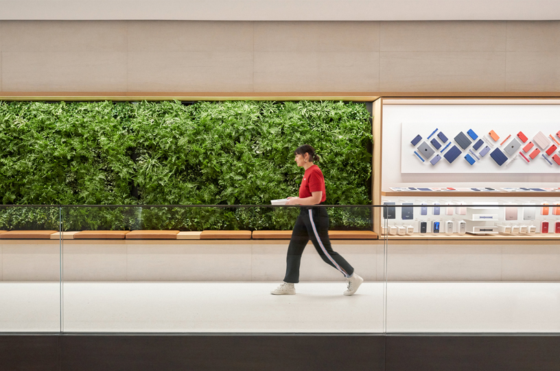 Diğer tüm Apple Store’lar gibi Apple Champs-Élysées de yüzde 100 yenilenebilir enerji kullanıyor.