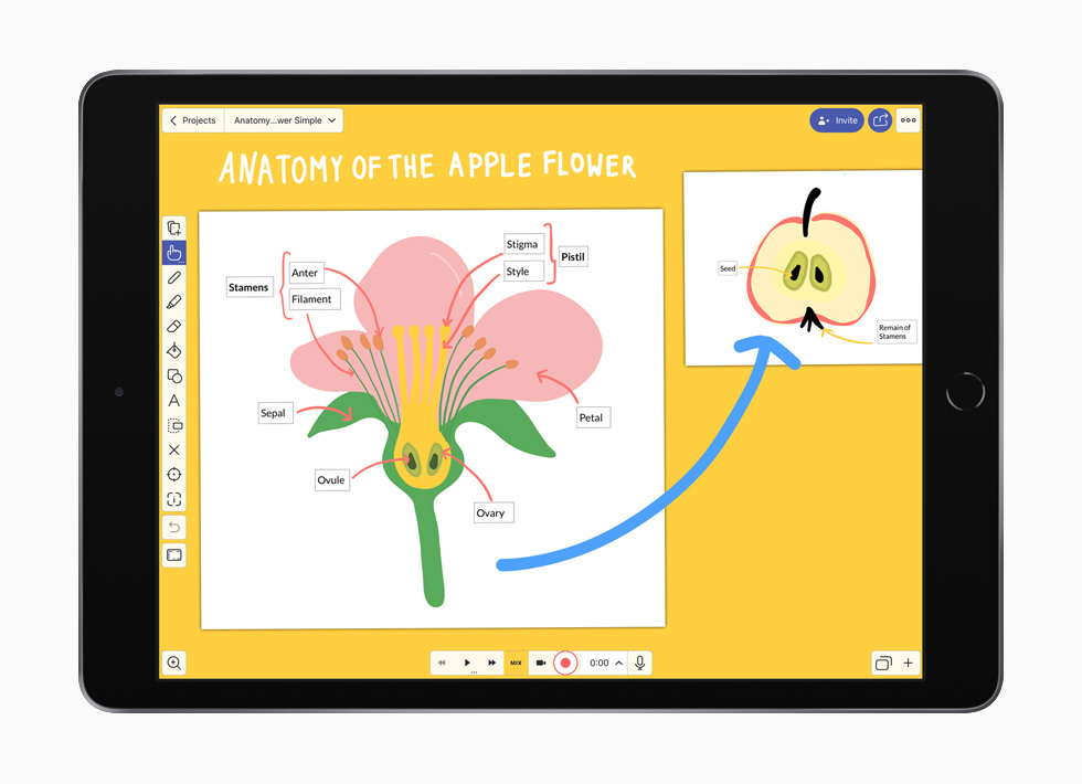 iPad’de Explain Everything Whiteboard uygulaması.
