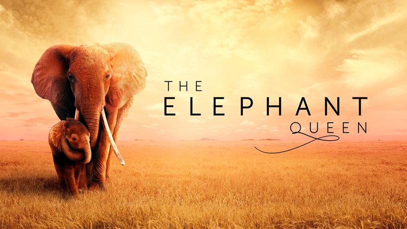 Apple TV+’taki “The Elephant Queen” başlık ekranı.