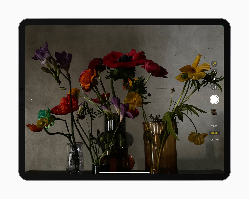 iPad Pro에서 LiDAR 기술을 시연하는 꽃 사진.  