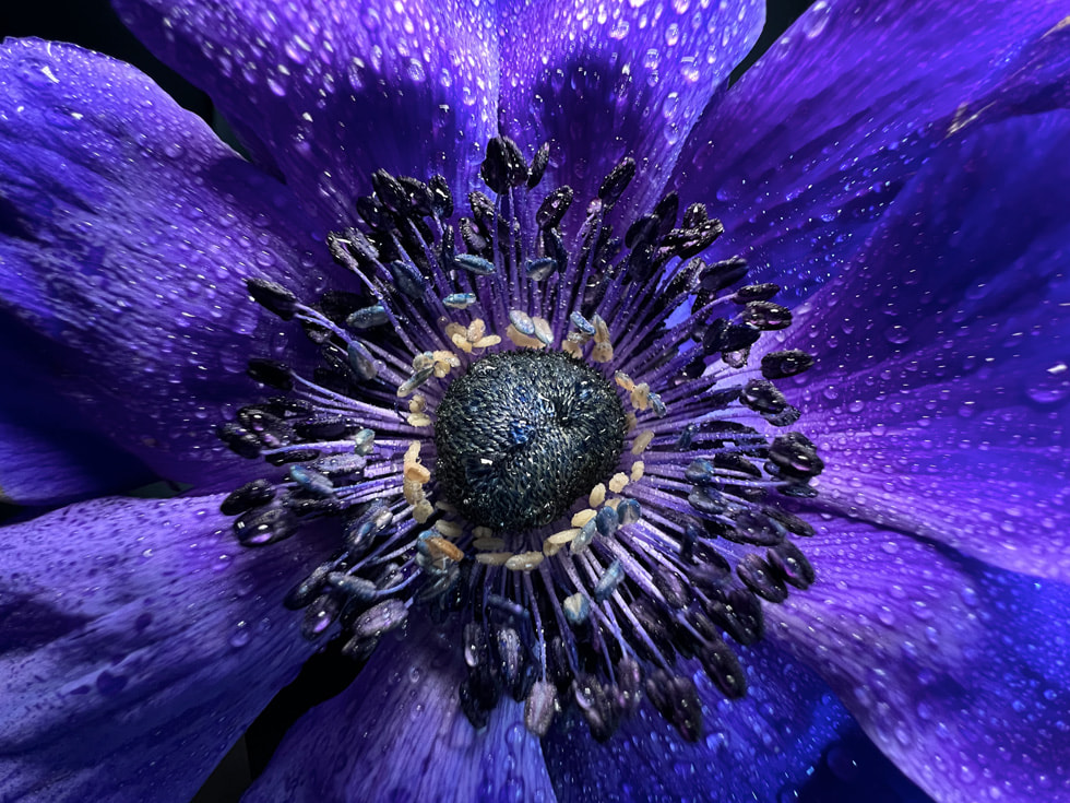 iPhone 13 Pro’daki makro çekim özelliği kullanılarak çekilmiş bir fotoğraf.