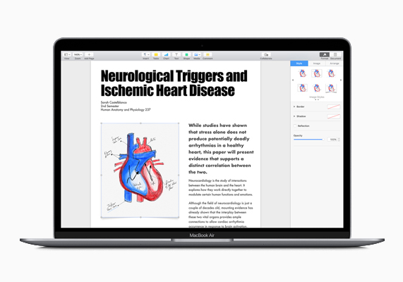 MacBook Air’de, Pages uygulamasında eğitim belgeleri.