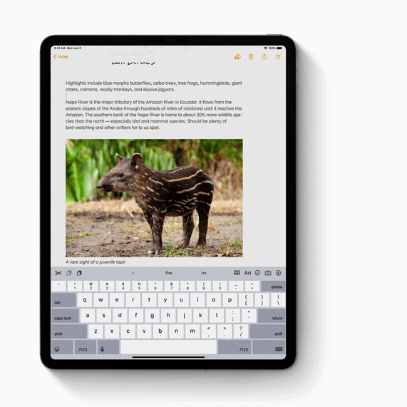 iPadOS’taki yeni hareketleri gösteren bir gif. 