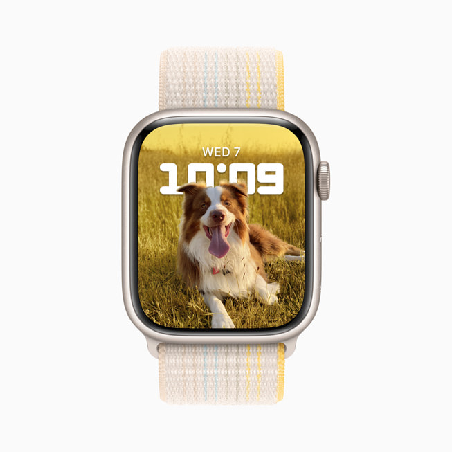 Apple Watch Series 8’de bir köpek fotoğrafıyla Portreler kadranı gösteriliyor.