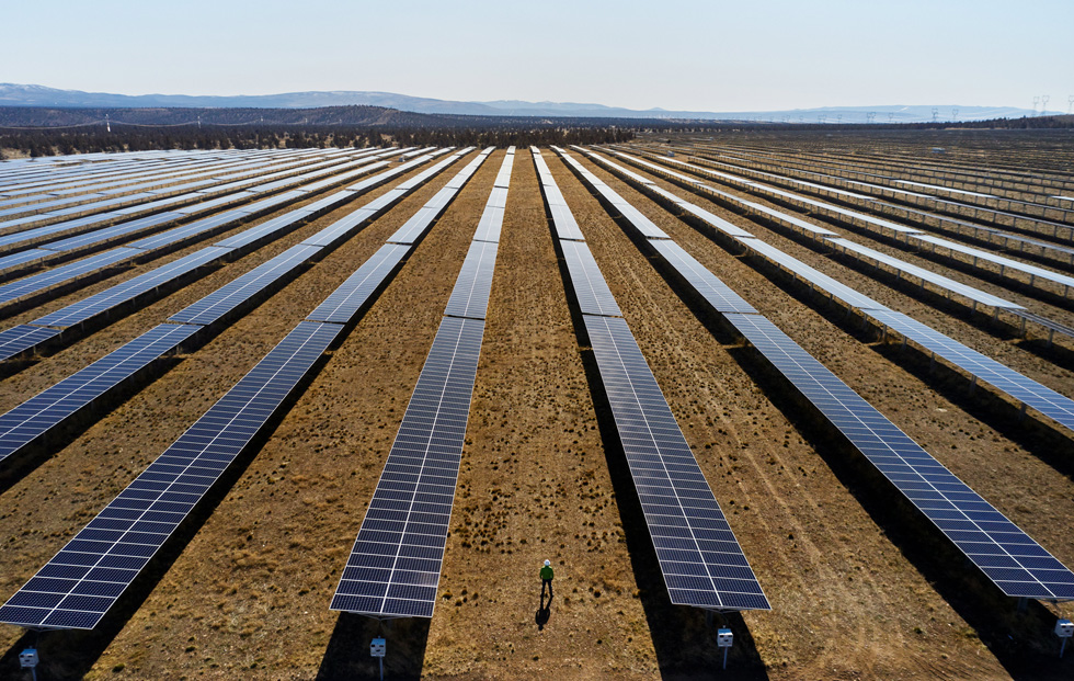 Zonnepanelen in een zonnepark.