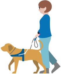 一位低視能人士佩戴 AirPods,牽著導盲犬走著