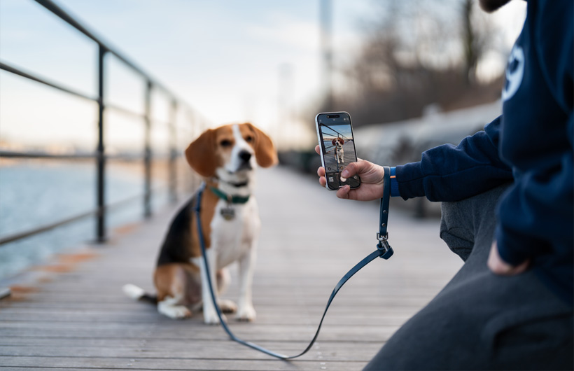La calidad excepcional de la cámara del iPhone realza los informes de las mascotas para sus dueños.