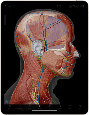 App Complete Anatomy en un iPad Air
