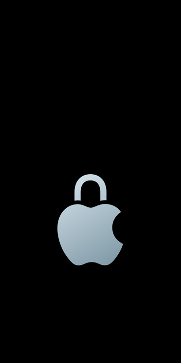 Silbernes Apple Logo mit Schloss anstelle des Blatts über dem Logo
