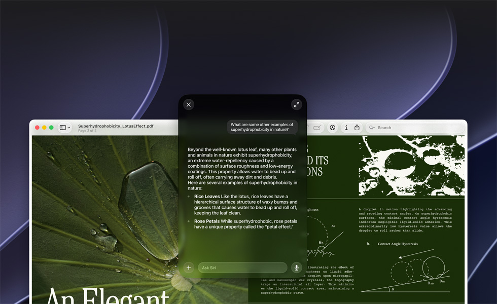 Demostración de Siri e Inteligencia Visual, consulta de un usuario sobre un tema en un PDF en la pantalla de una Mac, ¿Qué otros ejemplos hay de superhidrofobicidad en la naturaleza?, respuesta de Siri