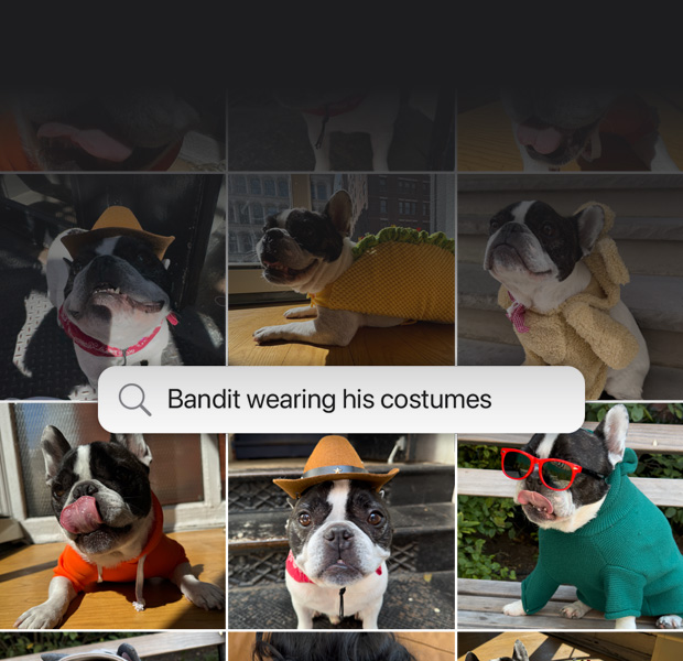 자연어로 사진을 검색하는 기능을 보여주는 모습. 사진 앱에서 ‘Bandit wearing his costumes’이라는 검색 문구와 검색 결과가 표시되어 있는 모습