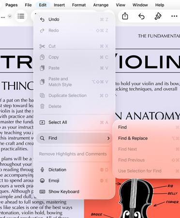 Close-up of menu bar with options for Undo, Redo, Cut, Copy, Paste and more